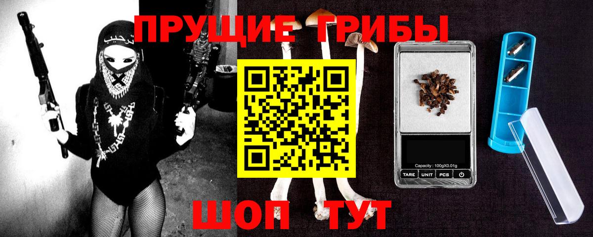 Галлюциногенные грибы Psilocybe Иваново